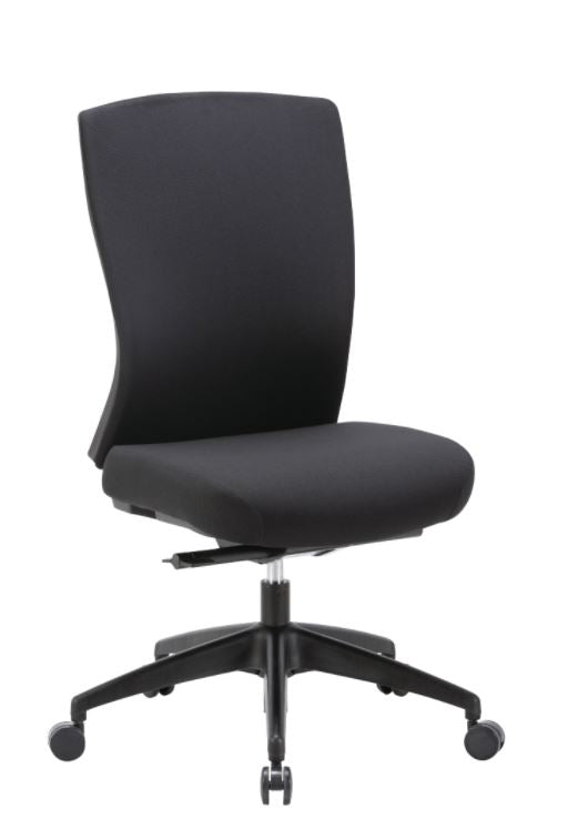 Mentor Fabric Back Chair - Fully Ergonomic Task Chair